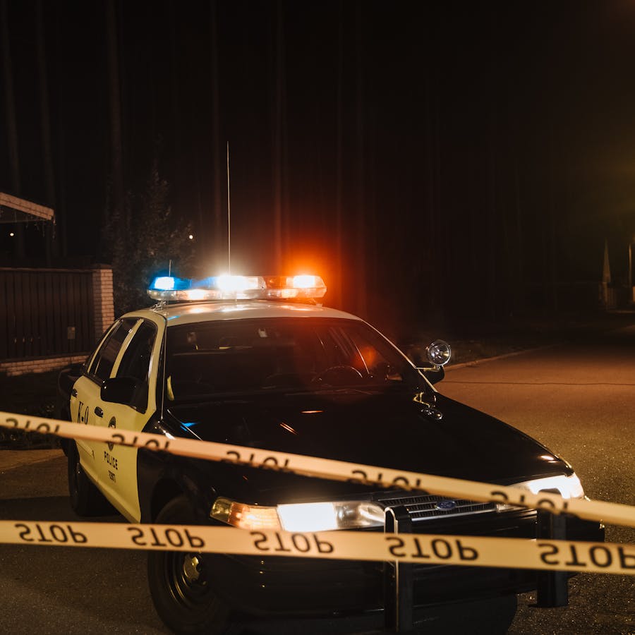 pexels-photo-10466469-8